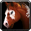 Inv horse3 pinto.png