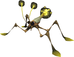 Water strider.png