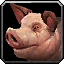 Inv pig.png