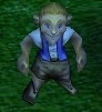 Warcraft III human male child.