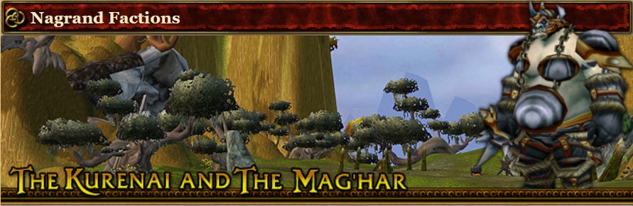 2004 Game Guide's Banner for the Nagrand Factions Reputations