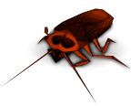 Cockroach.png