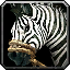 Inv horse3saddle008 zebra.png