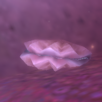 Glimmerdeep Clam.png