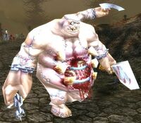 Image of Flesh Golem