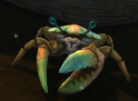 Image of Scuttleclaw Sandshell
