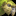 IconSmall Kakapo.gif