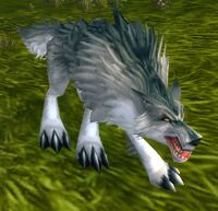 Image of Mangy Wolf