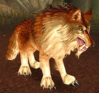 Image of Thunderlord Dire Wolf
