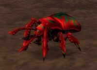 Image of Fire Beetle