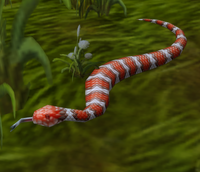 Image of Slither
