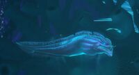 Image of Luminescent Eel