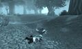 A typical out of body death experience of players in Azeroth.