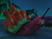 Image of Crimson Infused Rock Snail