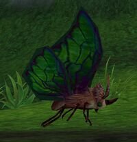 Image of Garden Moth