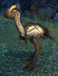 Image of Greater Timberstrider