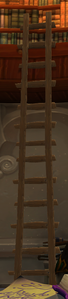 Image of Runed Ladder