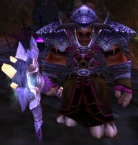 Image of Twilight Element Warden
