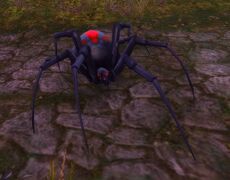 Undead Spider