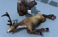 Image of Dead Caribou