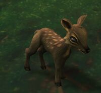Image of Lowlands Fawn