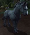 Horse in Battle for Azeroth.