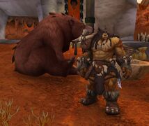 Rexxar and Misha in front of the inn.