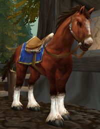 Image of Chestnut Mare