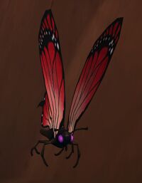 Tiny Butterfly red.jpg