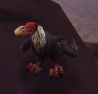 Image of Bonebeak Fledgling