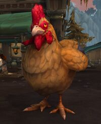 Image of Angriest Chicken
