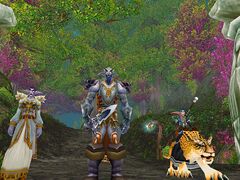 Night elves and mount