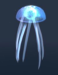 Image of Lantern Jelly