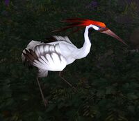 Image of Grassland Heron