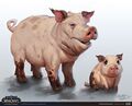 Pig concept.jpg