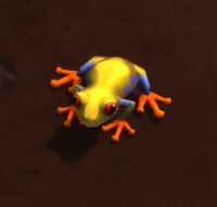Image of Kraul Frog