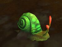Image of Estuarine Snail