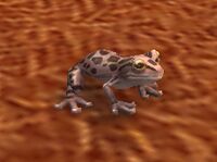 Image of Toad