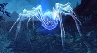 Image of Arachnis