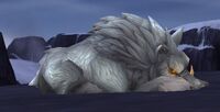 Image of Frost Wolf Alpha