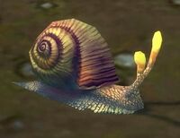 Image of Silkbead Snail