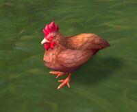 Image of Cranky Chicken