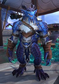 Image of Blue Dragonflight Alumni