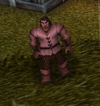 Warcraft III - Acolyte in Hiding.jpg