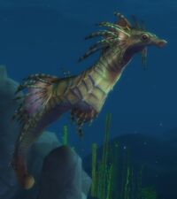 Image of Wild Seahorse