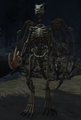 Dracthyr skeleton