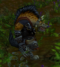 Image of Redridge Thrasher