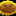 IconSmall Sunflower.gif