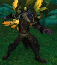 Invading Earthshaker night elf.png