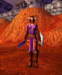 Image of Nethergarde Soldier